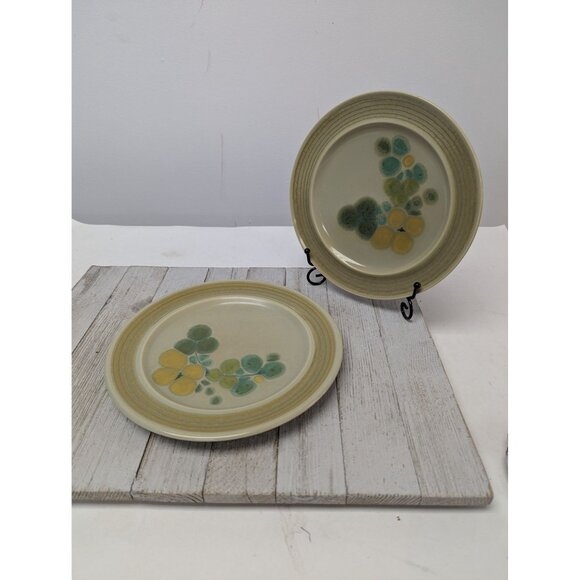 Vintage Set of 2 Franciscan Earthenware Pebble Beach 8 1/4" Salad Plates - Picture 1 of 7